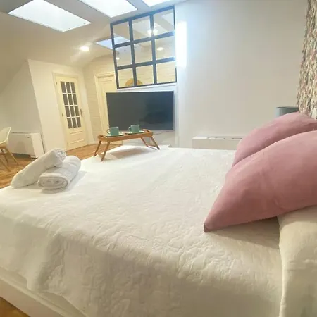 Plaza Mayor 9, Loft De Lujo En Plena Plaza Mayor De * 萨拉曼卡