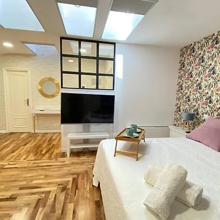 Plaza Mayor 9, Loft De Lujo En Plena Plaza Mayor De 公寓 萨拉曼卡